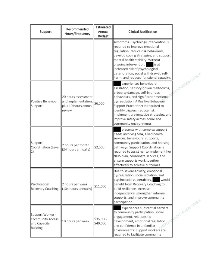 Support Recommendations — preview page from the de-identified sample Functional Capacity Assessment report